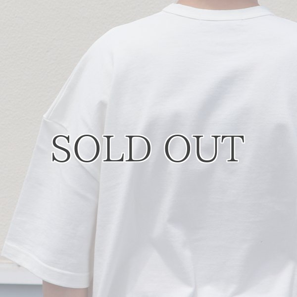 画像14: 米綿（USAコットン）10オンス アメリカンドライ天竺 サイドスリット BOX Aライン トレンドアーカイブカラーTシャツ【MADE IN JAPAN】『日本製』/ Upscape Audience (14)