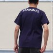 画像4: 【RE PRICE/価格改定】University of Hawaii "HAWAII" 7.1oz米綿丸胴オールドプリントクルーネックポケットT / Audience (4)