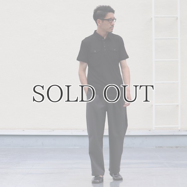 画像6: Coolmax（クールマックス）鹿の子ARMYポロシャツ / Audience (6)