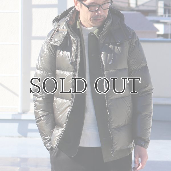 画像10: DICROS DNA LIGHT脱着フードダウンジャケット 【送料無料】 / Audience  (10)