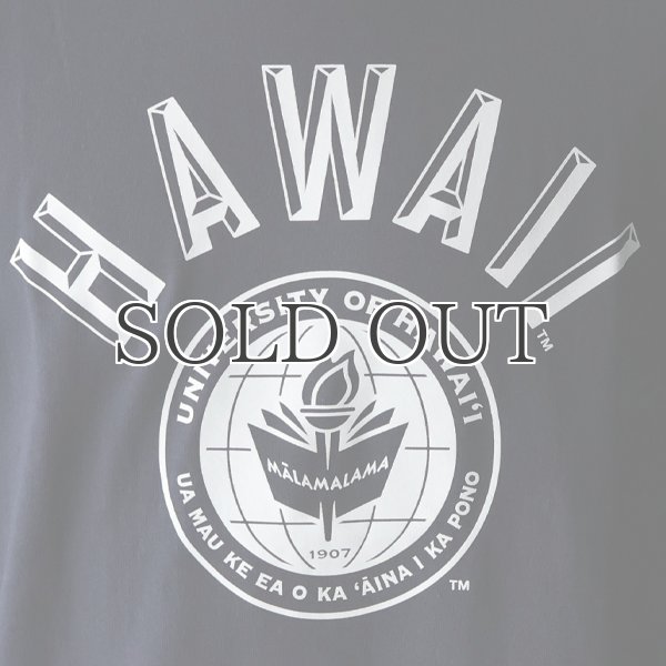 画像13: 6.2oz丸胴HAWAII”UNIVERSITY OF HAWAII”オールドプリントTEE / Audience (13)