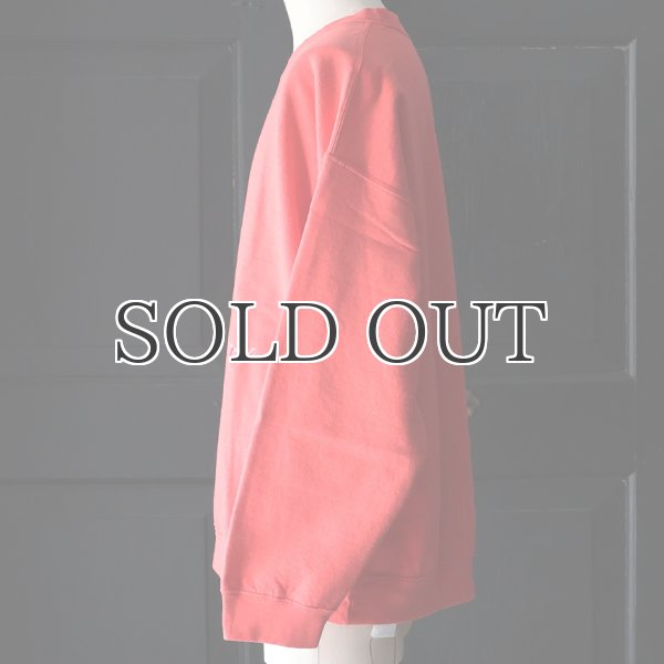 画像4: THRIFTY LOOK スリフティールック(tl24f010) / JUMP SKULL  裏起毛 クルーネック スウェット (4)