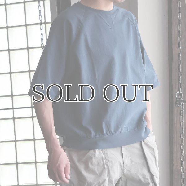 画像5: ピグメント 米綿 (USAコットン) 16/-天竺 ( 8.45オンス) ガゼットクルーネック ラグラン ハーフスリーブ バルーン Tシャツ / Audience (5)