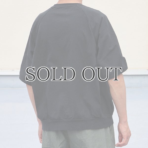 画像4: ピグメント 米綿 (USAコットン) 16/-天竺 ( 8.45オンス) ガゼットクルーネック ラグラン ハーフスリーブ バルーン Tシャツ / Audience (4)