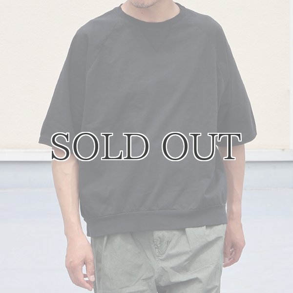 画像8: ピグメント 米綿 (USAコットン) 16/-天竺 ( 8.45オンス) ガゼットクルーネック ラグラン ハーフスリーブ バルーン Tシャツ / Audience (8)