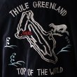 画像7: THRIFTY LOOK スリフティールック (tl25f002) / SOUVENIR GREENLAND BLOUSON VELOUR (7)