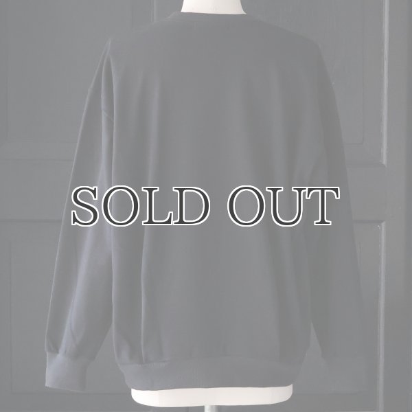 画像15: 「和歌山」 ミラノリブ (10オンス) バルーン Vガゼット クルーネック【MADE IN JAPAN】【送料無料】『日本製』 / Upscape Audience (15)