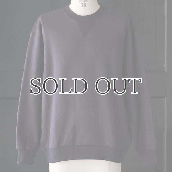 画像10: 「和歌山」 ミラノリブ (10オンス) バルーン Vガゼット クルーネック【MADE IN JAPAN】【送料無料】『日本製』 / Upscape Audience (10)