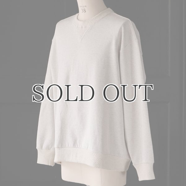 画像17: 「和歌山」 ミラノリブ (10オンス) バルーン Vガゼット クルーネック【MADE IN JAPAN】【送料無料】『日本製』 / Upscape Audience (17)