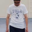 画像3: 【RE PRICE / 価格改定】 UCLA"UCLA"エンブレム三素材混カレッジプリント半袖クルーネックTシャツ / Audience (3)