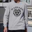 画像2: HARVARD"HARVARD EMBLEM"クルーネック長袖スウェット / Audience (2)