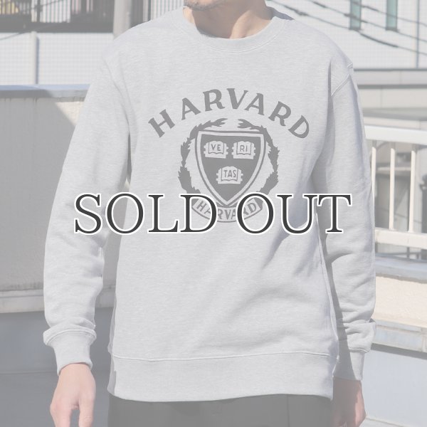 画像2: 【RE PRICE / 価格改定】HARVARD"HARVARD EMBLEM"クルーネック長袖スウェット / Audience (2)