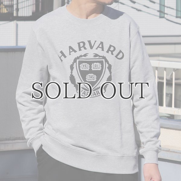 画像3: HARVARD"HARVARD EMBLEM"クルーネック長袖スウェット / Audience (3)