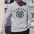 画像4: 【RE PRICE / 価格改定】HARVARD"HARVARD EMBLEM"クルーネック長袖スウェット / Audience (4)