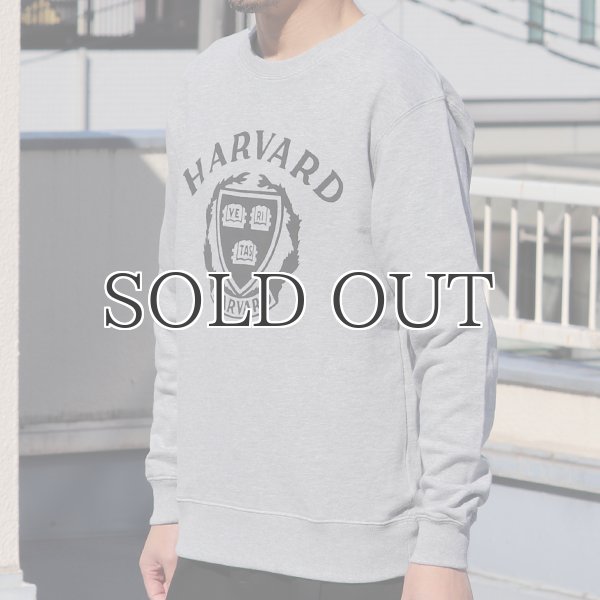 画像5: HARVARD"HARVARD EMBLEM"クルーネック長袖スウェット / Audience (5)