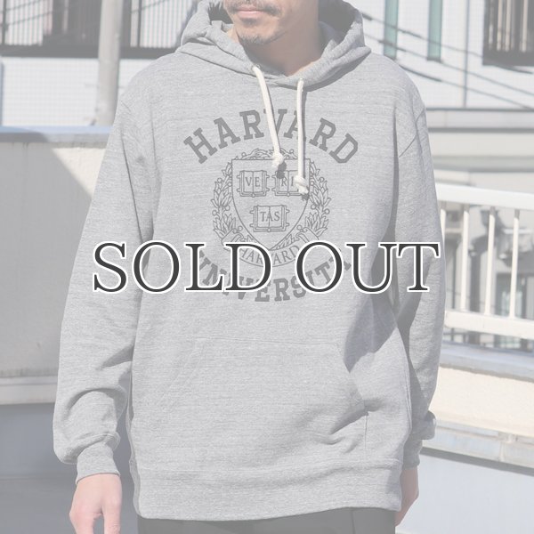 画像2: 【RE PRICE / 価格改定】HARVARD"HARVARD EMBLEM UNIVERSITY"フーデッドライトパーカー / Audience (2)