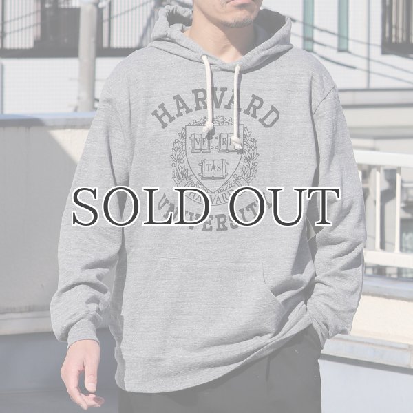 画像3: HARVARD"HARVARD EMBLEM UNIVERSITY"フーデッドライトパーカー / Audience (3)
