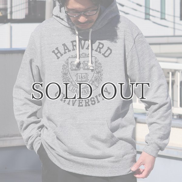画像4: HARVARD"HARVARD EMBLEM UNIVERSITY"フーデッドライトパーカー / Audience (4)
