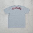 画像13: 【RE PRICE / 価格改定】Harvard University "HARVARD" 7.1oz米綿丸胴オールドプリントクルーネックポケットT / Audience (13)