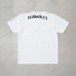 画像16: 【RE PRICE/価格改定】University of Hawaii "HAWAII" 7.1oz米綿丸胴オールドプリントクルーネックポケットT / Audience (16)