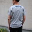 画像8: 【RE PRICE/価格改定】University of Hawaii "HAWAII" 7.1oz米綿丸胴オールドプリントクルーネックポケットT / Audience (8)