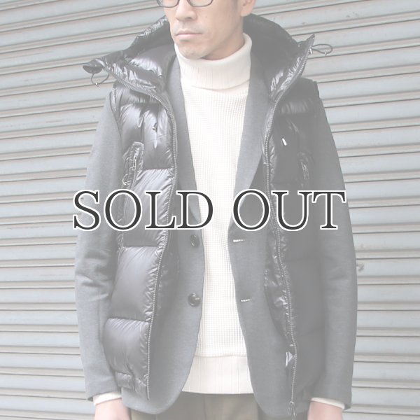 画像14: 『ダウン＆フェザー』DICROS DNA Lightスタンドフードダウンベスト 【送料無料】 / Audience (14)