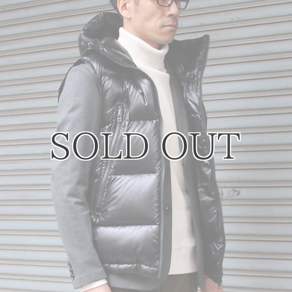 画像15: 『ダウン＆フェザー』DICROS DNA Lightスタンドフードダウンベスト 【送料無料】 / Audience (15)