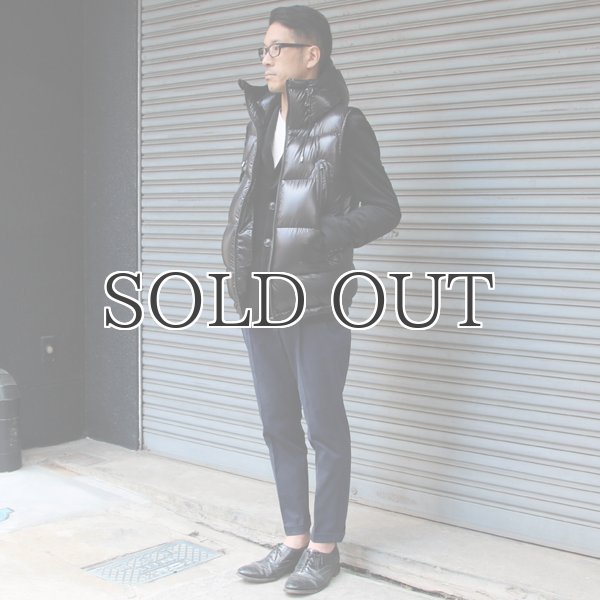 画像12: 『ダウン＆フェザー』DICROS DNA Lightスタンドフードダウンベスト 【送料無料】 / Audience (12)