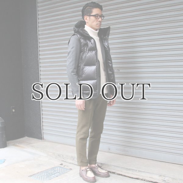 画像13: 『ダウン＆フェザー』DICROS DNA Lightスタンドフードダウンベスト 【送料無料】 / Audience (13)