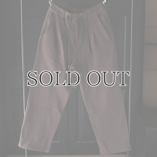 画像2: ピグメントヘビー裏起毛(14オンス)2タック イージーワイドパンツ / Audience (2)