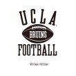 画像8: 【RE PRICE / 価格改定】6.2オンス丸胴BODY UCLA"FOOTBALLオールドプリント"TEE / Audience (8)