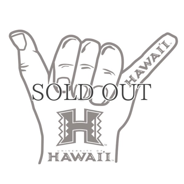 画像10: 6.2oz丸胴HAWAII”HAND”オールドプリントTEE / Audience (10)
