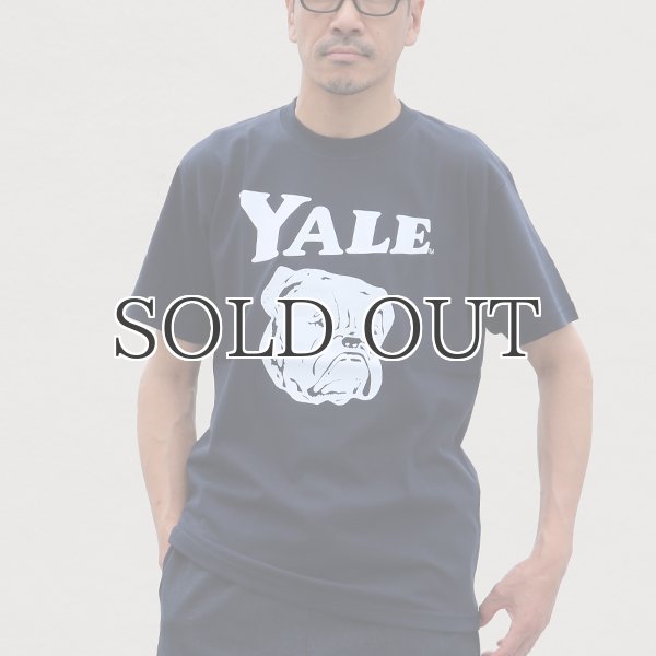 画像3: 6.2オンス丸胴BODY YALE"Handsome-YALEオールドプリント"TEE / Audience (3)