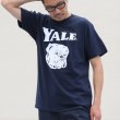 画像6: 【RE PRICE / 価格改定】6.2オンス丸胴BODY YALE"Handsome-YALEオールドプリント"TEE / Audience (6)