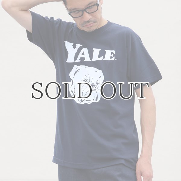 画像6: 6.2オンス丸胴BODY YALE"Handsome-YALEオールドプリント"TEE / Audience (6)