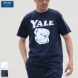 画像1: 6.2オンス丸胴BODY YALE"Handsome-YALEオールドプリント"TEE / Audience (1)