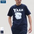 画像1: 【RE PRICE / 価格改定】6.2オンス丸胴BODY YALE"Handsome-YALEオールドプリント"TEE / Audience (1)