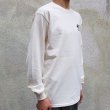 画像10: 360°SPORTS WEAR（スリーシックスティスポーツウェア）"TEXT" 6oz米綿丸胴L/S Tee/ Audience (10)