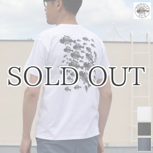 画像: 【RE PRICE / 価格改定】BRONZE AGE（ブロンズエイジ）"SCHOOL OF FISH"プリントTEE/ Audience