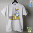 画像1: 6.2oz丸胴UCLA"UCLA BEAR"オールドプリントTEE / Audience (1)