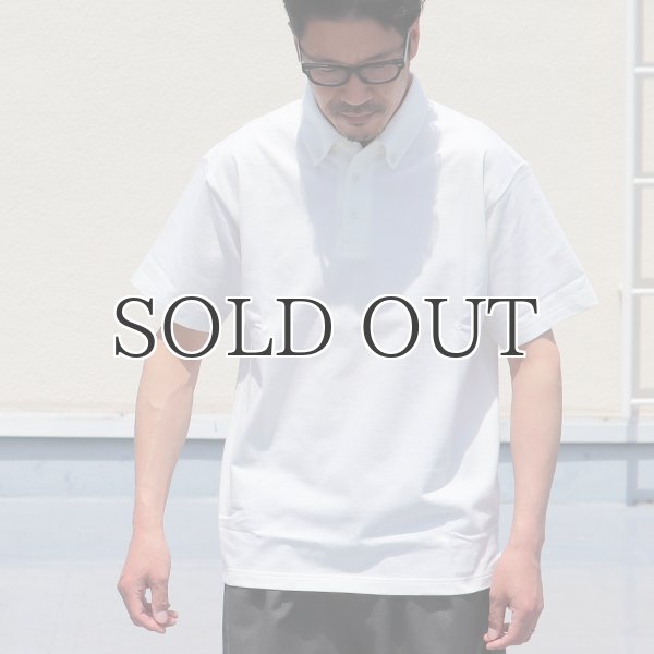 画像8: VORTEX 8オンス(MVS天竺) ボタンダウン レギュラーポロシャツ【MADE IN JAPAN】『日本製』/ Upscape Audience (8)