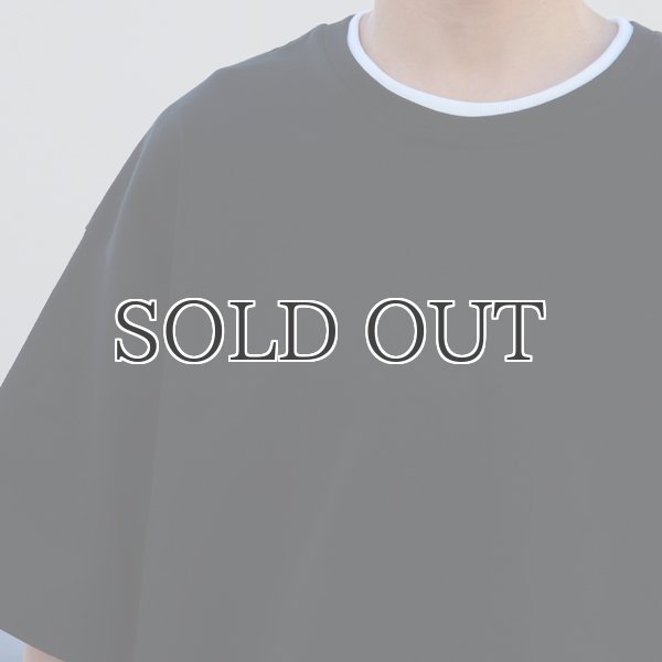 画像24: ヘビーウェイト プレーティング天竺(11オンス)クルー ツートーンネック ハーフスリーブ Tシャツ【MADE IN JAPAN】『日本製』/ Upscape Audience (24)