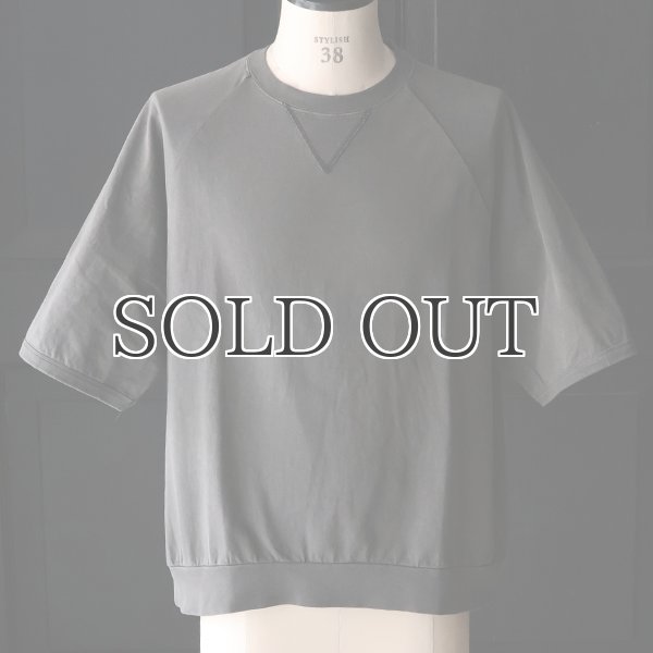 画像20: ピグメント 米綿 (USAコットン) 16/-天竺 ( 8.45オンス) ガゼットクルーネック ラグラン ハーフスリーブ バルーン Tシャツ / Audience (20)