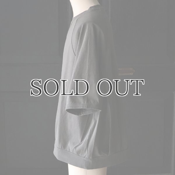 画像22: ピグメント 米綿 (USAコットン) 16/-天竺 ( 8.45オンス) ガゼットクルーネック ラグラン ハーフスリーブ バルーン Tシャツ / Audience (22)