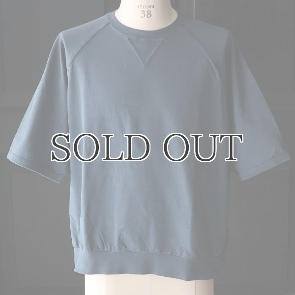 画像12: ピグメント 米綿 (USAコットン) 16/-天竺 ( 8.45オンス) ガゼットクルーネック ラグラン ハーフスリーブ バルーン Tシャツ / Audience (12)