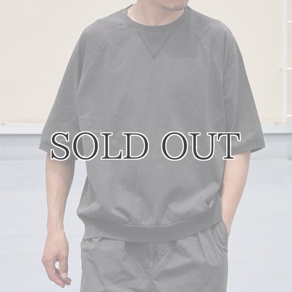 画像8: ピグメント 米綿 (USAコットン) 16/-天竺 ( 8.45オンス) ガゼットクルーネック ラグラン ハーフスリーブ バルーン Tシャツ / Audience (8)