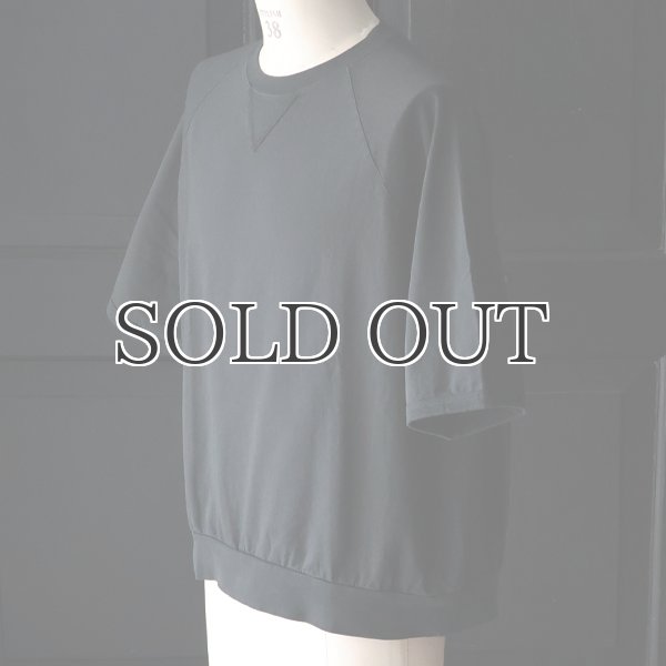 画像15: ピグメント 米綿 (USAコットン) 16/-天竺 ( 8.45オンス) ガゼットクルーネック ラグラン ハーフスリーブ バルーン Tシャツ / Audience (15)