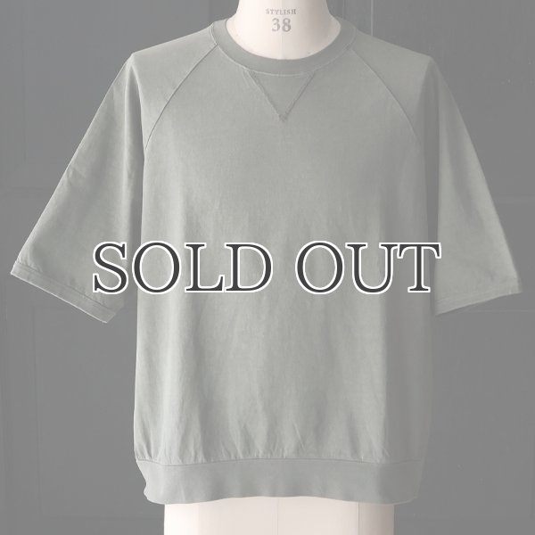 画像18: ピグメント 米綿 (USAコットン) 16/-天竺 ( 8.45オンス) ガゼットクルーネック ラグラン ハーフスリーブ バルーン Tシャツ / Audience (18)