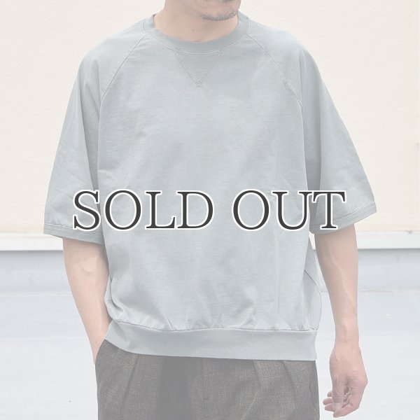 画像3: ピグメント 米綿 (USAコットン) 16/-天竺 ( 8.45オンス) ガゼットクルーネック ラグラン ハーフスリーブ バルーン Tシャツ / Audience (3)