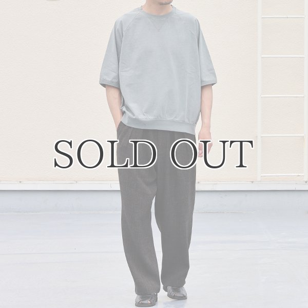 画像8: ピグメント 米綿 (USAコットン) 16/-天竺 ( 8.45オンス) ガゼットクルーネック ラグラン ハーフスリーブ バルーン Tシャツ / Audience (8)